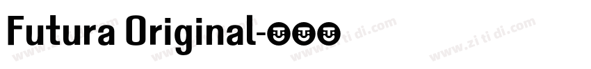 Futura Original字体转换
